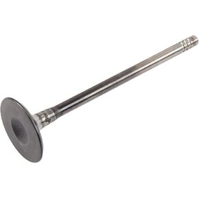 GM Parts Genuine 55568831 Engine Intake Valve