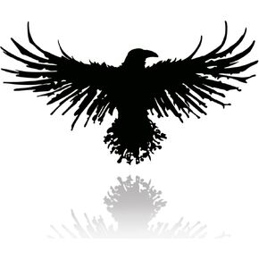 Yuzhuo Metal Viking Raven Wall Art Norse Mythology Crow Wall Decor with Gothic Metal Wall Sculpture Suitable for Living Room Bedroom Indoor Outdoor Garden Home
