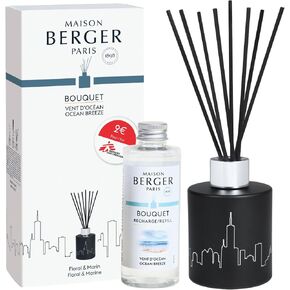 Maison Berger Scented Bouquet with Reed Sticks Prefilled with Fragrance Ocean Breeze, 100 milliliters /4.2Fluid Onces - Doctors Without Borders MSF - 9.1 x 9.1 x 3.1 inches