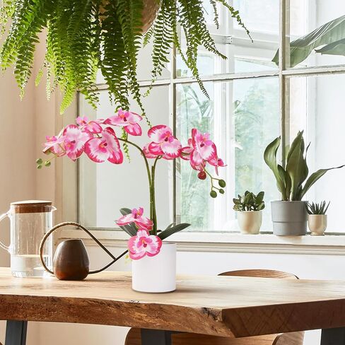 ucky Butterfly Orchid Bonsai، 21 بوصة زهور صناعية بيضاء، زهور بلاستيكية واقعية زهور وهمية، لتزيين طاولة المنزل والخزانة، زهور ديكور الحفلات والزفاف in Kuwait