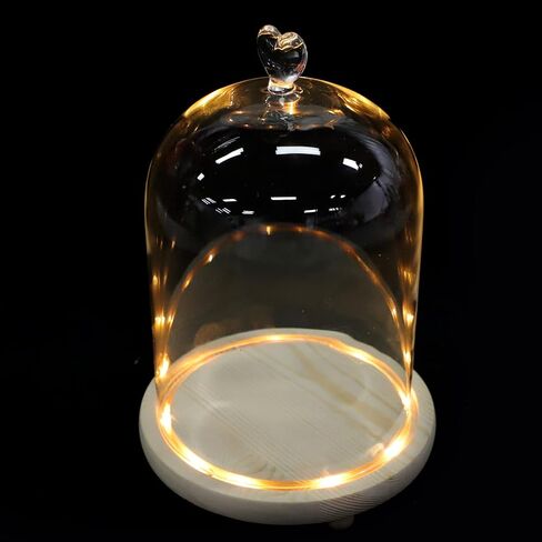 Beaupretty Glass Display Dome, Glass Dome with Lighted Base Light Up Glass Dome Glass Cloche Dome Glass Display Cloche Dome with Base in Saudi Arabia