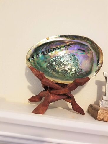 حامل كوبرا 6 بوصات حامل عرض خشبي بالجملة، كرة كريستالية، حامل صدفة أذن البحر، منحوت يدويًا، حامل قاعدة حامل ثلاثي الأرجل خشبي ملون للأصداف، ويكا، ريكي، عرض ديكور ترابي، (6) in Kuwait