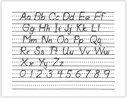 كمبيوتر لوحي أساسي من الدرجة الثالثة متعدد الطرق من Top Flight، مسطرة 1/2 بوصة، ورق سندات، 11 × 8.5 بوصة، 40 ورقة (56419)، أبيض in Kuwait