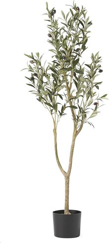 كريستوفر نايت هوم 313745 شجرة زيتون صناعية، 4 × 1.5 بوصة، أخضر in Kuwait