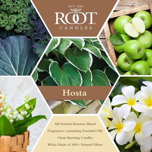 Root Candles Scented Candles in Travel Tin 24-Hour Honeycomb Traveler Handcrafted Beeswax Blend Candle, 4-Ounce, Aromatic Herbs in Saudi Arabia