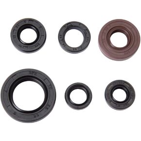 TUSK Engine Oil Seal Kit متوافق مع Honda TRX 300EX 1993-2008