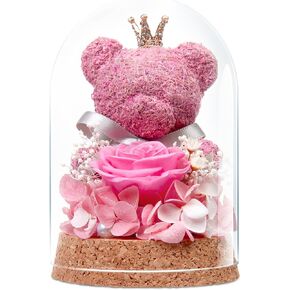 Preserved Rose Flowers Gifts for Her, Real Forever Rose in Glass Dome with Adorable Bear for Girlfriend,Mom,Wife,Grandma on Birthday Anniversary Valentine's Day (Red)