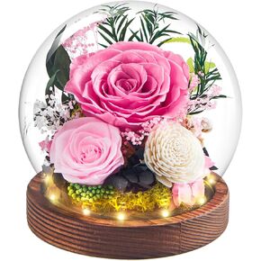 Preserved Flowers Eternal Roses Gifts For Her Women,Birthday Gifts for Mom Girlfriend Wife Grandma,Light Up Forever Flowers For Delivery Prime In Glass Dome,Mother’s Day Gift,Pink