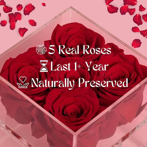 Vlove® Forever Roses في صندوق المجوهرات | الورود الحقيقية إلى الأبد بوكس ​​| الزهور المحفوظة بشكل طبيعي | محفوظ صندوق الورد | الوردة الأبدية التي تستمر في السنة | هدايا رومانسية لأمي وزوجة (أحمر) in Kuwait