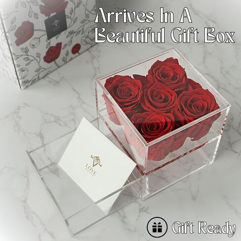 Vlove® Forever Roses في صندوق المجوهرات | الورود الحقيقية إلى الأبد بوكس ​​| الزهور المحفوظة بشكل طبيعي | محفوظ صندوق الورد | الوردة الأبدية التي تستمر في السنة | هدايا رومانسية لأمي وزوجة (أحمر) in Kuwait