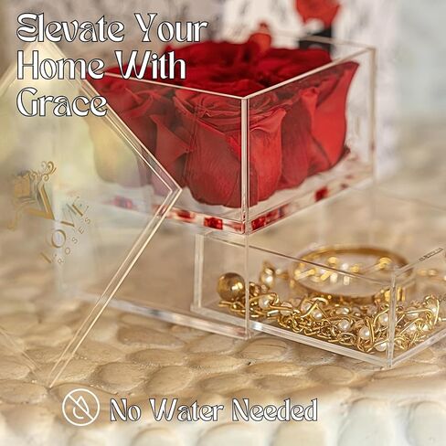 Vlove® Forever Roses في صندوق المجوهرات | الورود الحقيقية إلى الأبد بوكس ​​| الزهور المحفوظة بشكل طبيعي | محفوظ صندوق الورد | الوردة الأبدية التي تستمر في السنة | هدايا رومانسية لأمي وزوجة (أحمر) in Kuwait