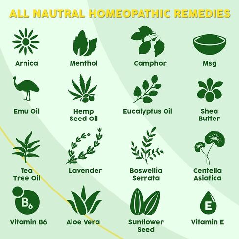 Ebanel Menthol Arnica Gel Pain Relief Cream with Hemp Oil, Emu Oil, MSM, Camphor, Vitamin B6, Boswellia, Bruise Cream Muscle Rub for Arthritis, Strains, Sprains, Joint Pain in Saudi Arabia