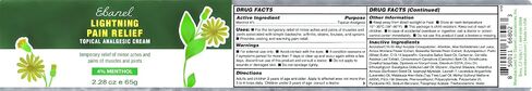 Ebanel Menthol Arnica Gel Pain Relief Cream with Hemp Oil, Emu Oil, MSM, Camphor, Vitamin B6, Boswellia, Bruise Cream Muscle Rub for Arthritis, Strains, Sprains, Joint Pain in Saudi Arabia