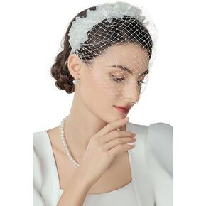 BABEYOND Mesh Veil Headband for Women - Tea Party 1920s Fascinator Face Veil Headpiece for Bridal Wedding
