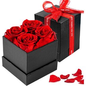 Preserved Flowers Forever Eternal Roses: 4 Red Rose in a box - for Her Girlfriend Women Mothers Mom