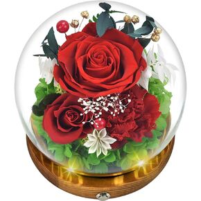 Quimoy Preserved Flowers Gift for Women, Gift for Mom, Flores Eternas Roses in Glass Dome with LED Lights, Real Flower Delivery Prime Gifts for Mother's Day, Birthday, Valentines, Christmas, Wedding