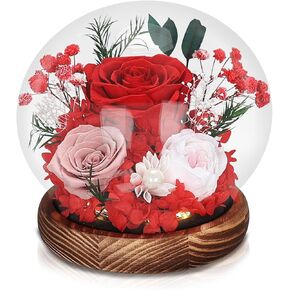 Preserved Real Rose Glass Dome with LED Light, Preserved Flowers Gift for Women for Home Office Decoration (Red)