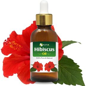 Arnica (Arnica Montana) Therapeutic Essential Oil by Salvia Amber Bottle 100% Natural Uncut Undiluted Pure Cold Pressed Undiluted Aromatherapy Premium Oil (100 ML with Dropper)