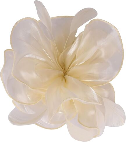 2025 Derby Hair Clip for Women Fascinators Hats for Women Outfits Tea Party Wedding Fascinator Headband in Kuwait