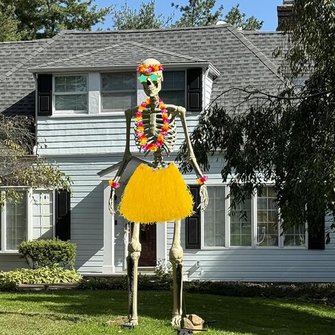 7 PCS 12 FT Summeton Summer Associory ، Hawaiian Skeleton Clothing Costume Beach Ball Costume for Festival Sandbeach in Kuwait
