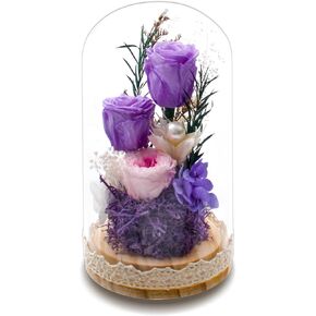Preserved Rose Flowers for Women, Forever Preserved Flowers in Glass Dome, Eternal Real Roses Gift for Mother's Day, Christmas, Anniversary and Birthday (Pink)