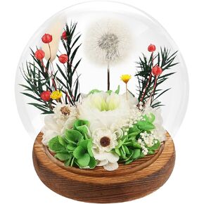 Gifts for Women Preserved Flower Forever Dandelion Rose in Glass Real Fresh Flowers for Delivery Prime Mothers Day Birthday Gifts for Mom Grandma Sister Wife Eternal Dandelion Flower Decor Green