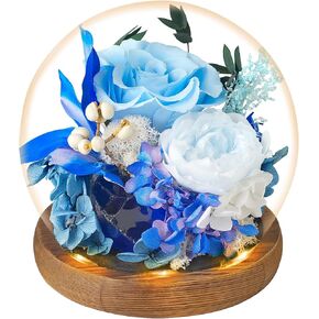 Double Blessing of Real Rose and Real Natural Healing Crystal, Preserved Flowers Glass Dome with LED,Rose Gift for Women,Preserved Rose in Black Gift Box with Card,Romantic Glass Rose for Birthday