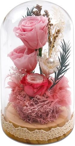 Preserved Rose Flowers for Women, Forever Preserved Flowers in Glass Dome, Eternal Real Roses Gift for Mother's Day, Christmas, Anniversary and Birthday (Pink) in Saudi Arabia