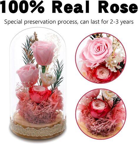 Preserved Rose Flowers for Women, Forever Preserved Flowers in Glass Dome, Eternal Real Roses Gift for Mother's Day, Christmas, Anniversary and Birthday (Pink) in Saudi Arabia