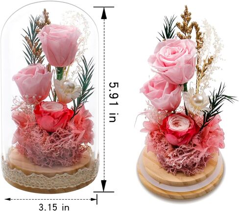Preserved Rose Flowers for Women, Forever Preserved Flowers in Glass Dome, Eternal Real Roses Gift for Mother's Day, Christmas, Anniversary and Birthday (Pink) in Saudi Arabia