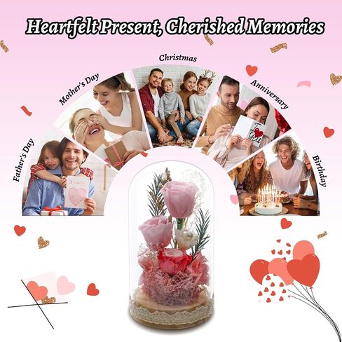 Preserved Rose Flowers for Women, Forever Preserved Flowers in Glass Dome, Eternal Real Roses Gift for Mother's Day, Christmas, Anniversary and Birthday (Pink) in Saudi Arabia