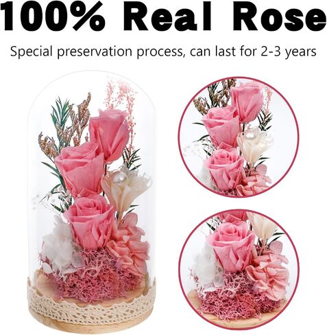 Preserved Rose Flowers for Women, Forever Preserved Flowers in Glass Dome, Eternal Real Roses Gift for Mother's Day, Christmas, Anniversary and Birthday (Pink) in Saudi Arabia