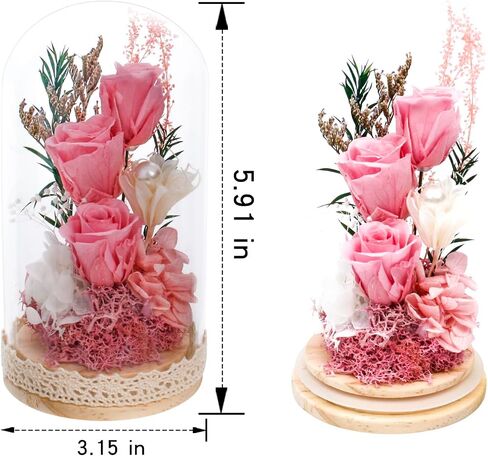 Preserved Rose Flowers for Women, Forever Preserved Flowers in Glass Dome, Eternal Real Roses Gift for Mother's Day, Christmas, Anniversary and Birthday (Pink) in Saudi Arabia