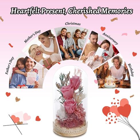 Preserved Rose Flowers for Women, Forever Preserved Flowers in Glass Dome, Eternal Real Roses Gift for Mother's Day, Christmas, Anniversary and Birthday (Pink) in Saudi Arabia