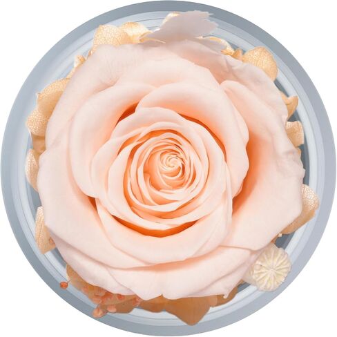 Sunia Preserved Rose Angel Figurine with Real Forever Flowers, Birthday Gift for Mom, Women, Grandma (Purple) in Saudi Arabia