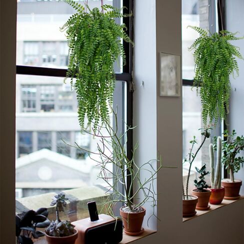 6 Pcs Artificial Hanging Ferns Plants Fake Hanging Plants Fake Ivy Boston Ferns Vine Outdoor Indoor Home Décor UV Resistant Plastic Plants (Green) in Kuwait