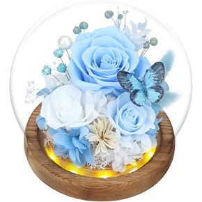 Preserved Flowers in Glass with LED Light，Flowers for Delivery Prime，Forever Roses Birthday Gifts for Women, for Mom (Tiffany Blue Rose,Light Green Rose)