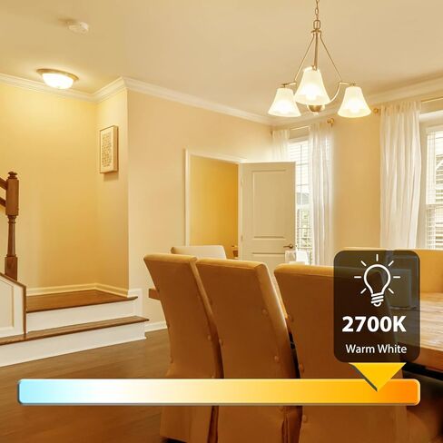 DAYBETTER 12 Pack A19 LED Light Bulbs, 60 Watt Equivalent LED Bulbs, Long Lifespan High Brightness 800LM Daylight White 5000K, E26 Standard Base Light Bulbs for Home Bedroom Office, Non-Dimmable in Kuwait