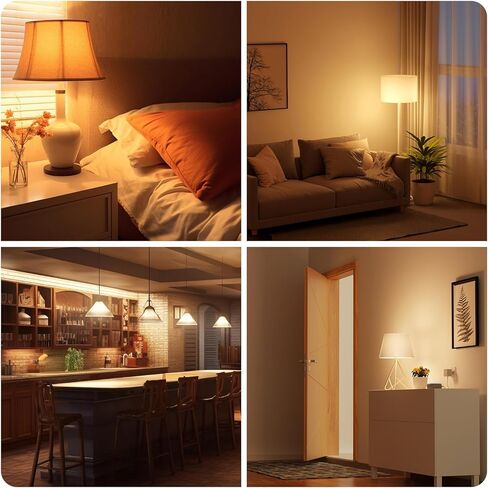 DAYBETTER 12 Pack A19 LED Light Bulbs, 60 Watt Equivalent LED Bulbs, Long Lifespan High Brightness 800LM Daylight White 5000K, E26 Standard Base Light Bulbs for Home Bedroom Office, Non-Dimmable in Kuwait