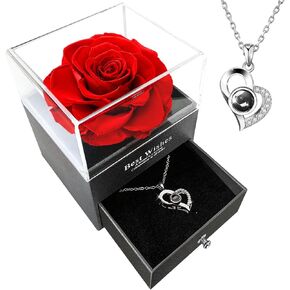 VANGOLD Gifts for Mom,Most Popular Valentine's Day Gifts,Gifts for Girlfriend I Love You Necklace in 100 Languages Gifts for Girlfrien