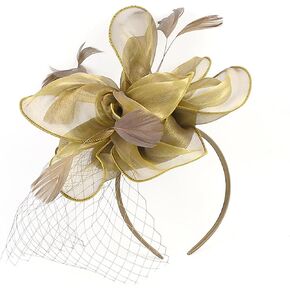 Song Qing Fascinators Hats for Womens Tea Party Derby Hat Feather Mesh Veil Headwear Hair Clip Cocktail Bridal Wedding