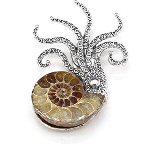 Natural Fossil Brooches Ammonite Shape Conch Shell Apparel Pin for Coat Dress Clothes Decoration