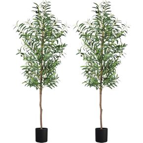 Artificial Olive Tree, 6FT Tall Faux Olive Trees 72in Outdoor Fake Potted Silk Plant with Trunk and Realistic 648 Leaves and 24 Fruits for Modern Office Home Decor Indoor（1pack）