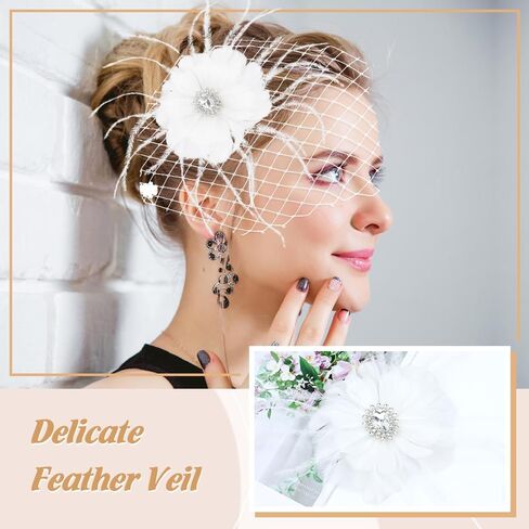 inSowni 1920s Flapper Accessories Black Feather Veil Fascinator with Hair Clip Tea Party Headpieces for Women Girls in Saudi Arabia