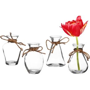 Royal Imports Clear Glass Bottle Bud Vase, Small Single Stem Flower Centerpiece, Mini Decorative Floral Jars, Rustic Farmhouse Home Decor, Kitchen, Fireplace, Shelf, Narrow One Rose Holder, Set of 3