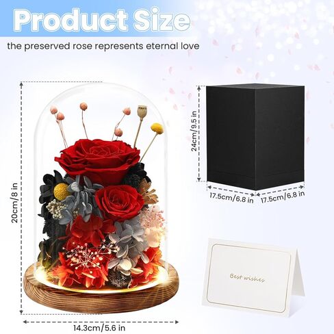 هدايا الزهور الحقيقية المحفوظة للنساء والرجال والأم والجدة والزوجة، ورود حقيقية طويلة الأمد في الزجاج مع أضواء LED لعيد الأم، وعيد الحب، وعيد الميلاد، وأعياد الميلاد، والذكرى السنوية، وعيد الشكر للزفاف in Kuwait