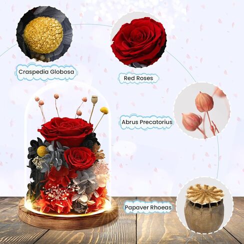 هدايا الزهور الحقيقية المحفوظة للنساء والرجال والأم والجدة والزوجة، ورود حقيقية طويلة الأمد في الزجاج مع أضواء LED لعيد الأم، وعيد الحب، وعيد الميلاد، وأعياد الميلاد، والذكرى السنوية، وعيد الشكر للزفاف in Kuwait