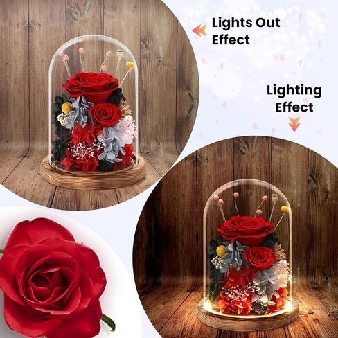 هدايا الزهور الحقيقية المحفوظة للنساء والرجال والأم والجدة والزوجة، ورود حقيقية طويلة الأمد في الزجاج مع أضواء LED لعيد الأم، وعيد الحب، وعيد الميلاد، وأعياد الميلاد، والذكرى السنوية، وعيد الشكر للزفاف in Kuwait