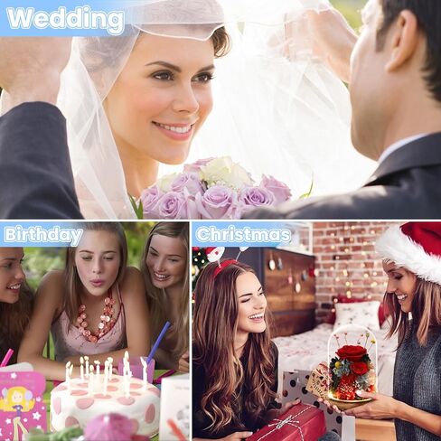 هدايا الزهور الحقيقية المحفوظة للنساء والرجال والأم والجدة والزوجة، ورود حقيقية طويلة الأمد في الزجاج مع أضواء LED لعيد الأم، وعيد الحب، وعيد الميلاد، وأعياد الميلاد، والذكرى السنوية، وعيد الشكر للزفاف in Kuwait