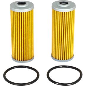 2x FULE FILTER MIU804763 M801101 CH10479 متوافق مع John Deere 655 755 756 770 790 850 855 900 950 1050 1025R 1026R 2025R Z994R 1445 1545 XUV865E XUV85D X740 X748